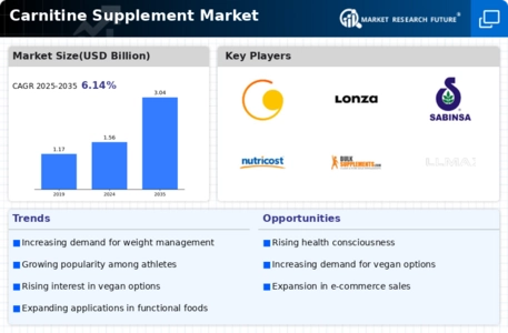 Carnitine Supplement Market Infographic