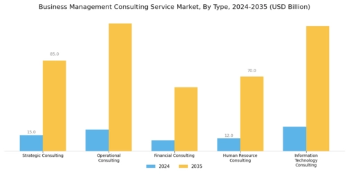 Business Management Consulting Service Market Segment Image 0