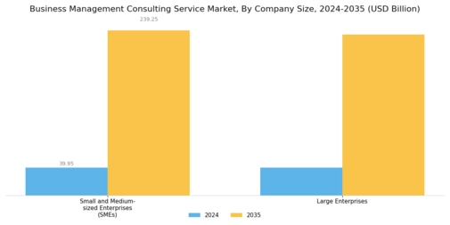 Business Management Consulting Service Market Segment Image 2