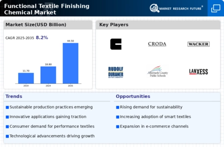 Functional Textile Finishing Chemical Market Infographic