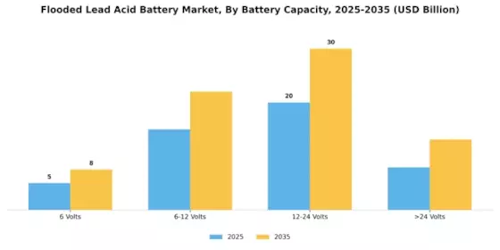Flooded Lead Acid Battery Market Segment Image 0