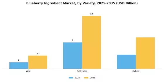 Blueberry Ingredient Market Segment Image 2