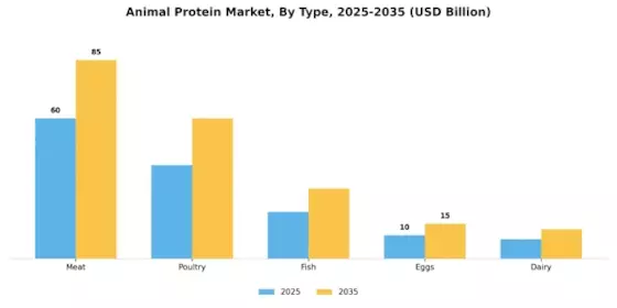Animal Protein Market Segment Image 0