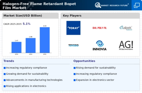 Halogen Free Flame Retardant Bopet Film Market
 Infographic