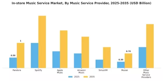 In store Music Service Market Segment Image 2