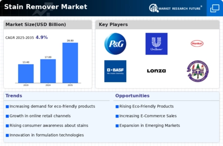 Stain Remover Market Infographic