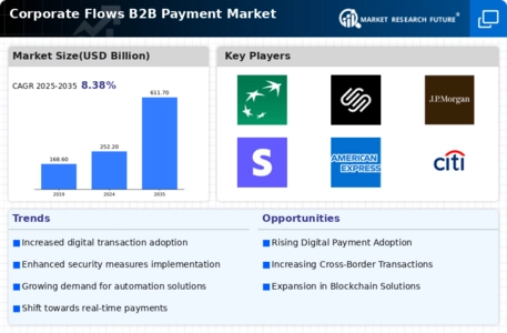 Corporate Flows B2B Payment Market
 Infographic