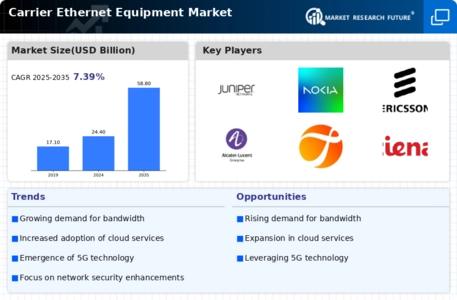 Carrier Ethernet Equipment Market Infographic