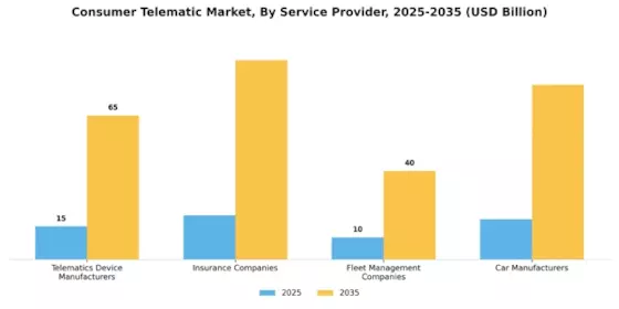 Consumer Telematic Market Segment Image 4
