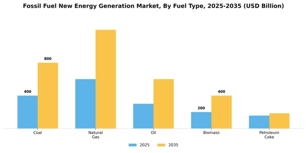 Fossil Fuel New Energy Generation Market Segment Image 1