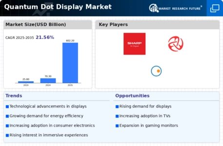 Quantum Dot Display Market Infographic