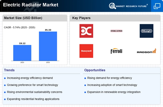 Electric Radiator Market Infographic