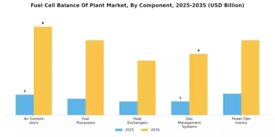 Fuel Cell Balance Plant Market Segment Image 4