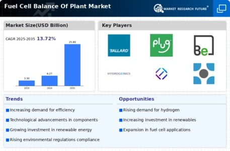 Fuel Cell Balance Plant Market Infographic