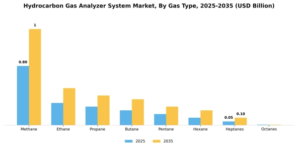 Hydrocarbon Gas Analyzer System Market Segment Image 2