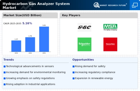 Hydrocarbon Gas Analyzer System Market Infographic