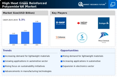 High Heat Glass Reinforced Polyamide 66 Market
 Infographic