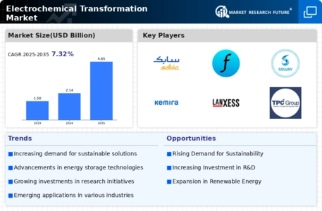 Electrochemical Transformation Market Infographic