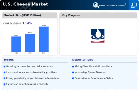 U.S. Cheese Market Infographic