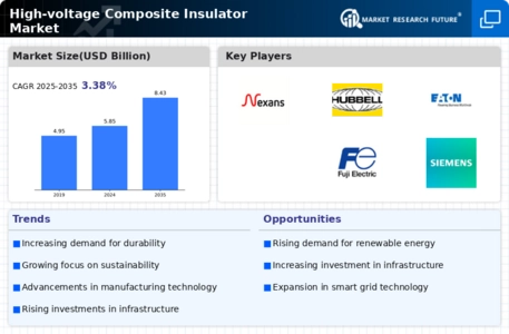 High Voltage Composite Insulator Market Infographic
