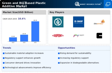 Green Bio Based Plastic Additive Market
 Infographic