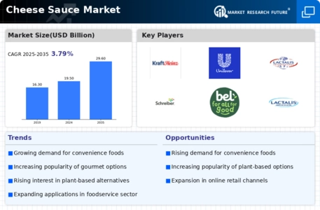 Cheese Sauce Market Infographic