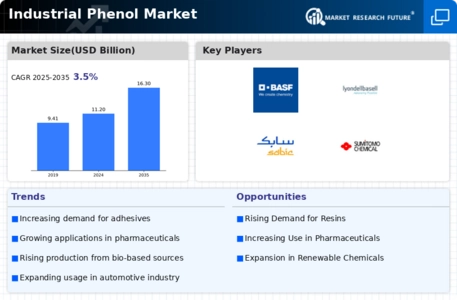 Industrial Phenol Market Infographic