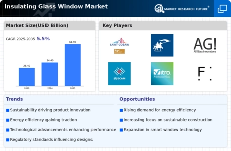 Insulating Glass Window Market Infographic