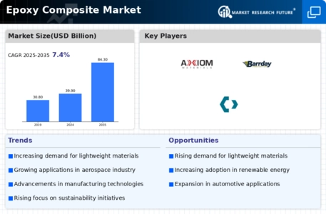 Epoxy Composite Market Infographic