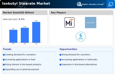 Isobutyl Stearate Market Infographic