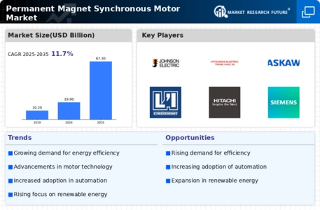 Permanent Magnet Synchronous Motor Market Infographic