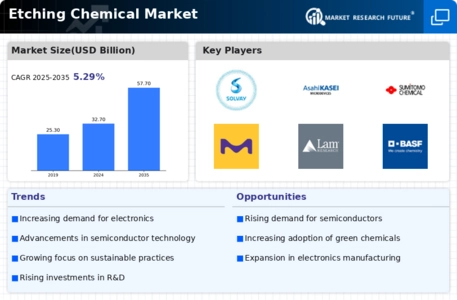 Etching Chemical Market Infographic