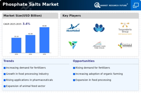 Phosphate Salts Market
 Infographic