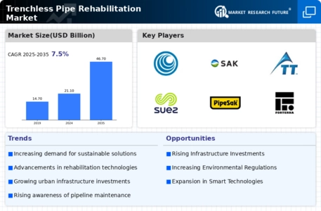 Trenchless Pipe Rehabilitation Market Infographic
