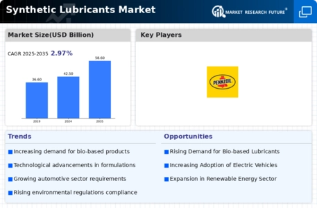 Synthetic Lubricant Market Infographic