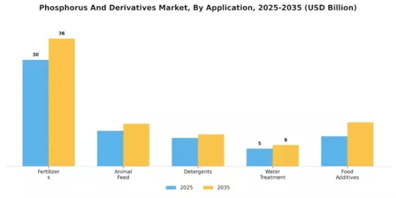 Phosphorus Derivatives Market
 Segment Image 1