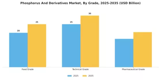 Phosphorus Derivatives Market
 Segment Image 2