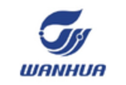 Polyols And Polyurethane Market key player