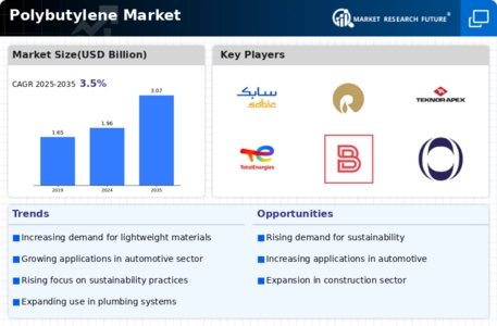 Polybutylene Market Infographic