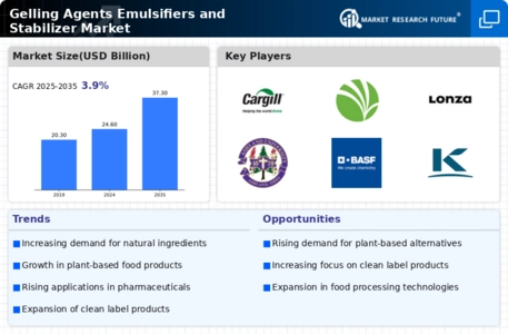 Gelling Agents Emulsifiers Stabilizer Market
 Infographic
