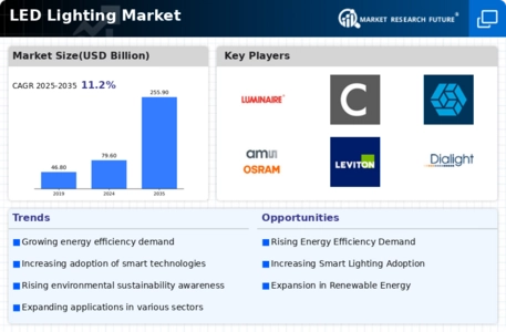 LED Lighting Market Infographic