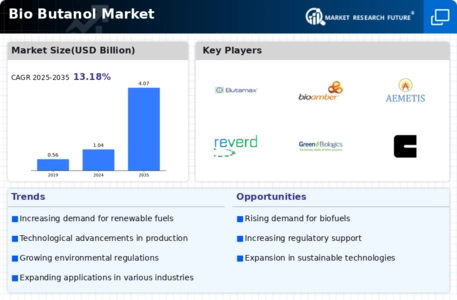 Bio Butanol Market Infographic