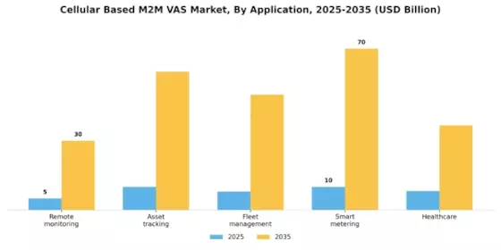 Cellular Based M2M VAS Market Segment Image 1