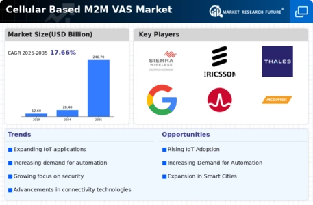 Cellular Based M2M VAS Market Infographic