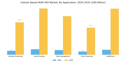 Cellular Based M2M VAS Market Segment Image 1