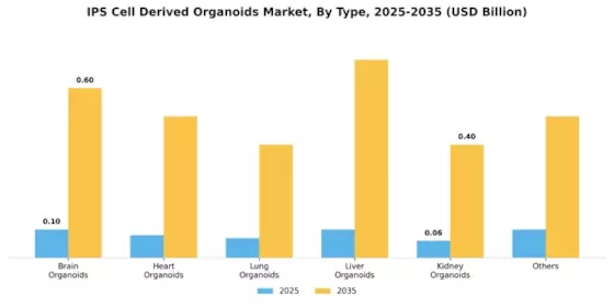 IPS Cell Derived Organoids Market Segment Image 0