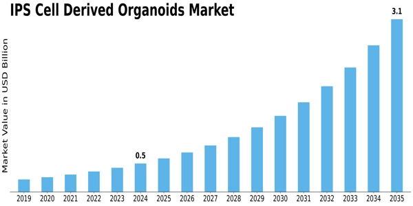 IPS Cell Derived Organoids Market Size