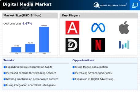 Digital Media Market Infographic