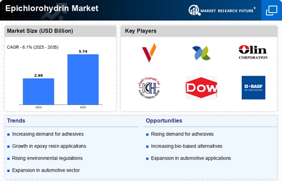 Epichlorohydrin Market Infographic