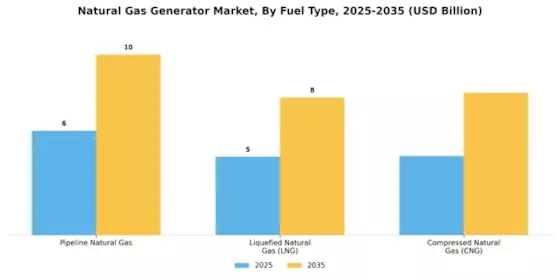 Natural Gas Generator Market Segment Image 1